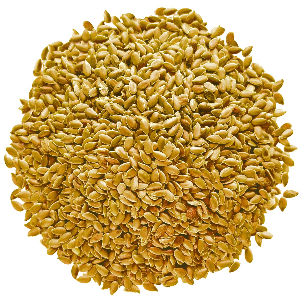 Siemię lniane złociste